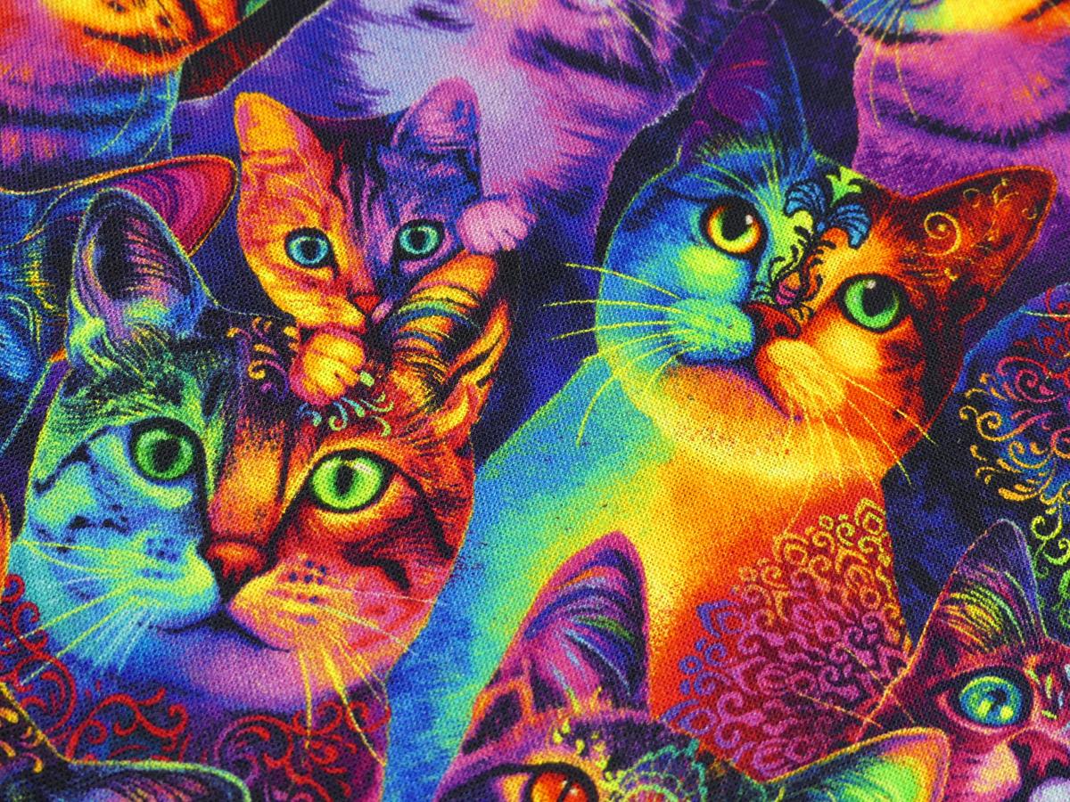 Patchworkstoff mit Katzen in Neonfarben von Timeless Treasures Detailansicht
